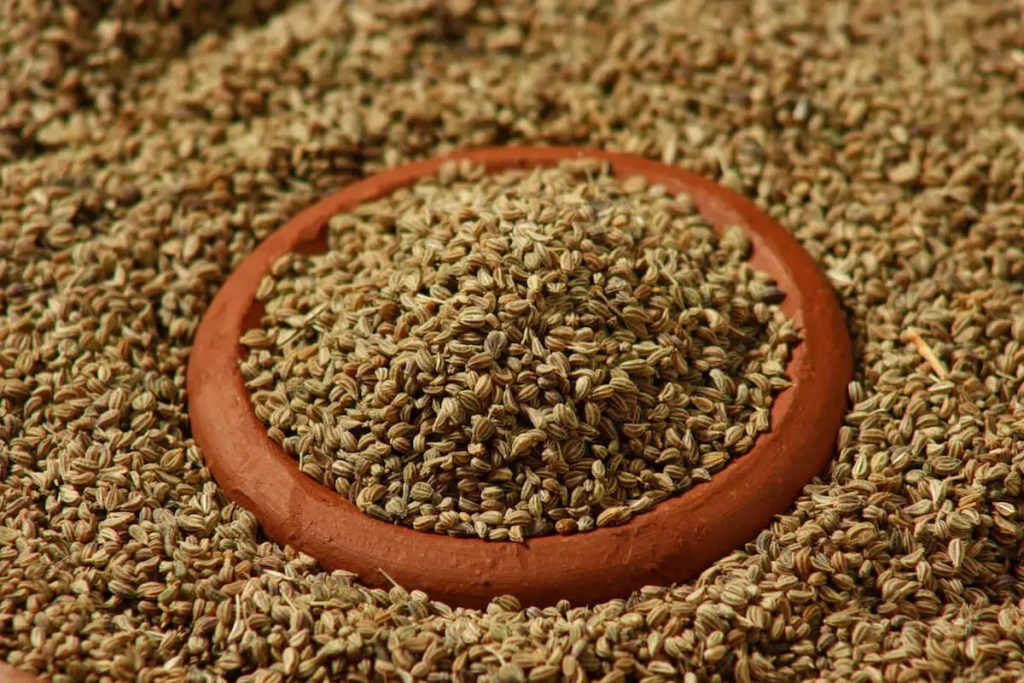 Ajwain: Herb Spice With Health And Ayurvedic Benefits