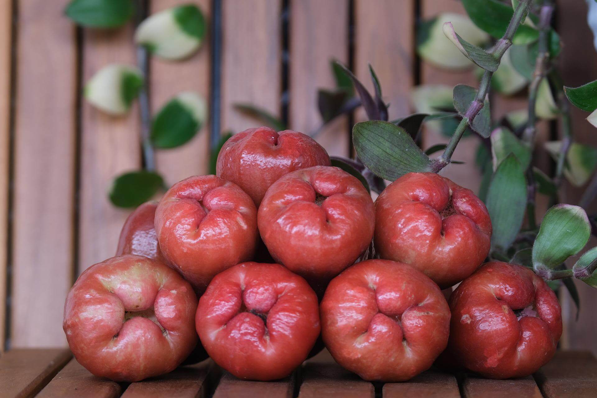 Water Apple | Wax Apple: Ayurvedic And Therapeutic Benefits
