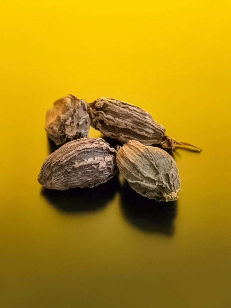 Black Cardamom: Well Known Plant Based Nutritional Spice Herb