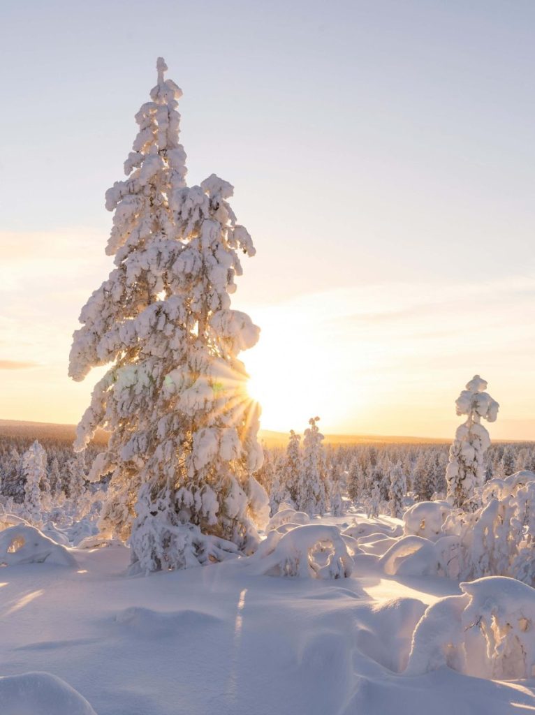 lapland