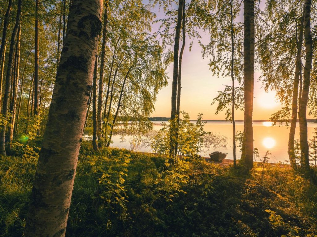 Finland Travel: A Journey Through the Land of a Thousand Lakes