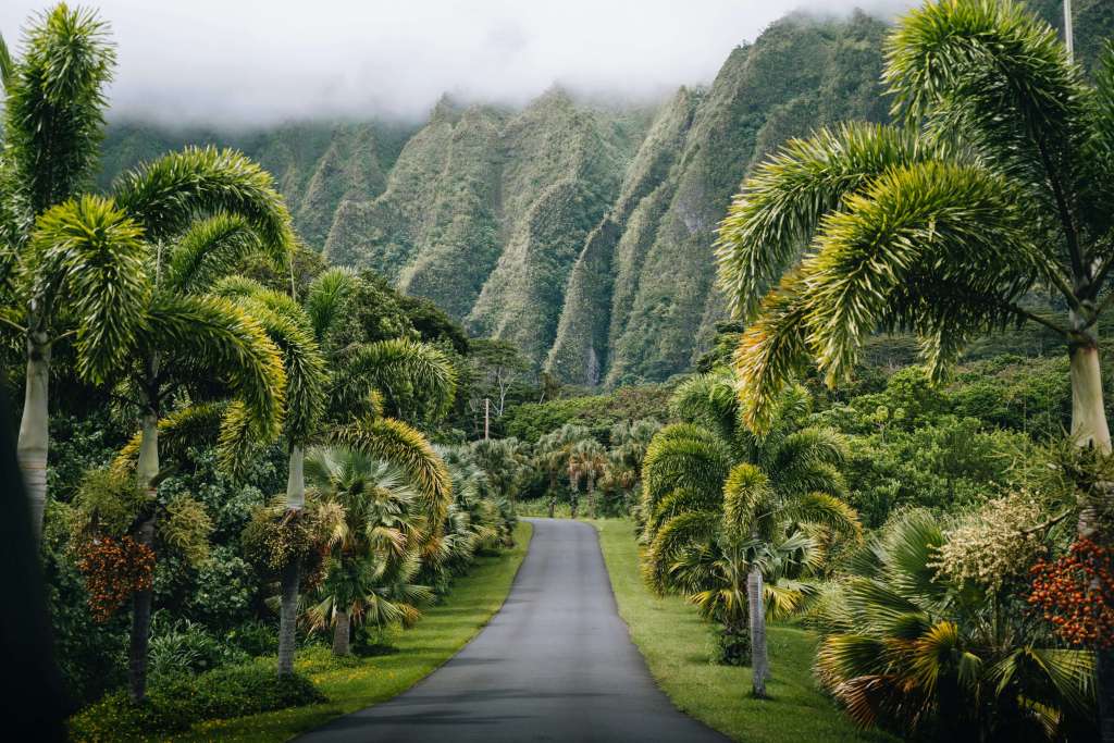 Hidden Gems of Oahu: Off-the-Beaten-Path Discoveries
